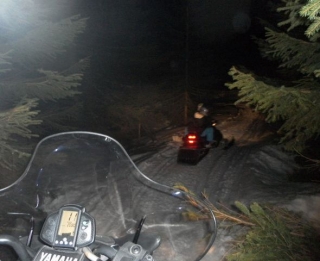  En el bosque 
